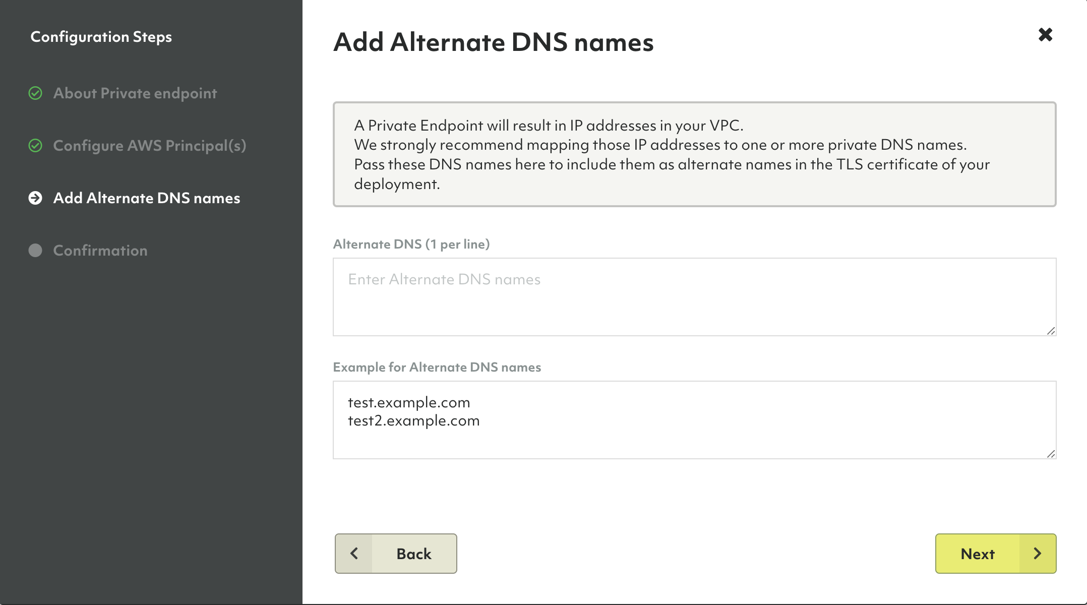 Oasis AWS Private Endpoint Alternate DNS