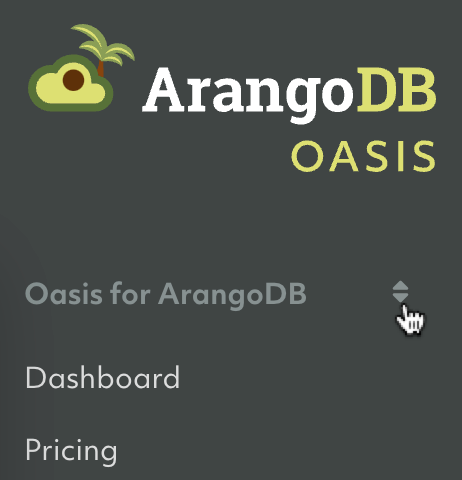 Oasis Organization Switcher